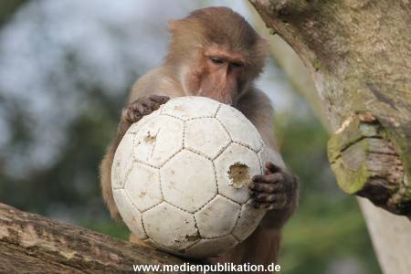 Hagenbeck 24042016 012