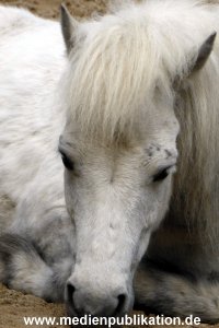 Hagenbeck 17062013 003