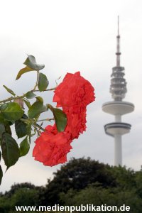 Planten und Blomen 22072007 003