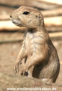 Hagenbeck 10072005 002