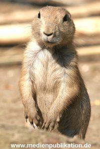 Hagenbeck 10072005 003