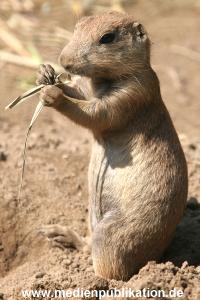 Hagenbeck 10072005 008