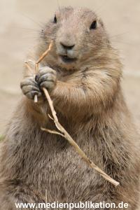 Hagenbeck 21072011 060