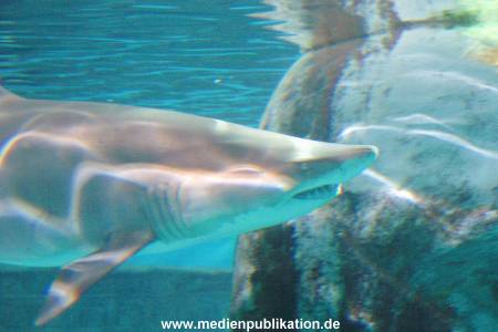 London 2004 103