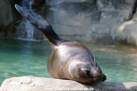 Hagenbeck 24042005 017