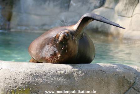 Hagenbeck 24042005 018