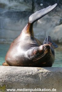 Hagenbeck 24042005 019