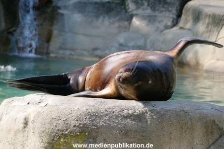 Hagenbeck 24042005 020