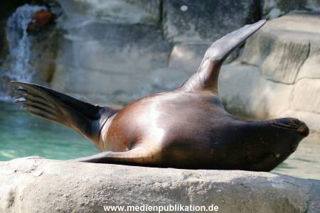 Hagenbeck 24042005 021