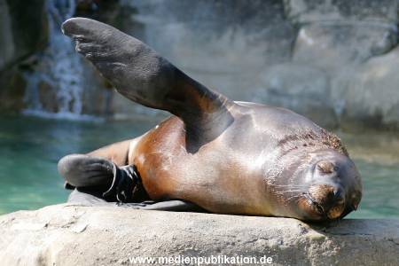 Hagenbeck 24042005 022