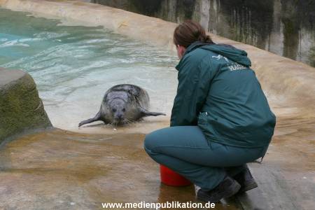 Hagenbeck 26032009 011
