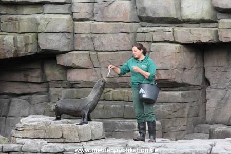 Hagenbeck 26092013 039