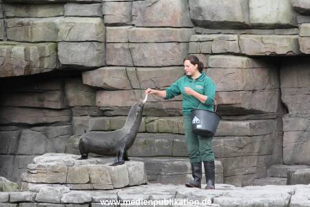 Hagenbeck 26092013 040