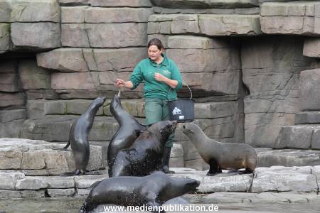 Hagenbeck 26092013 041