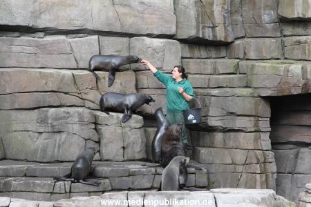 Hagenbeck 26092013 042