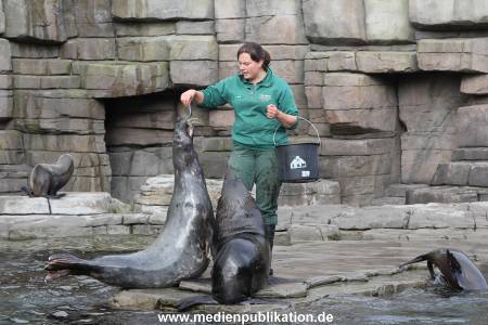Hagenbeck 26092013 043