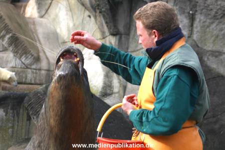 hagenbeck 03 04 012