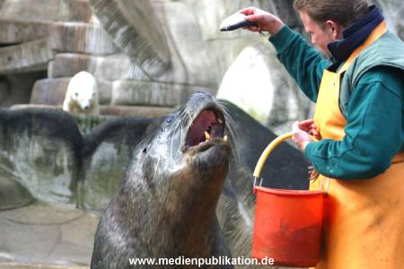 hagenbeck 03 04 013