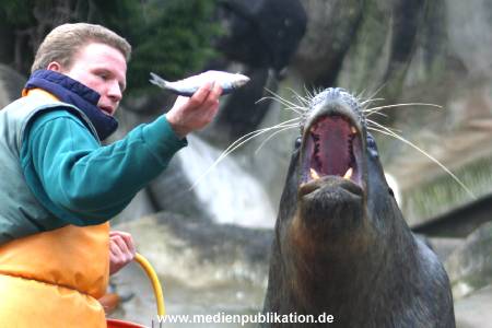 hagenbeck 03 04 014