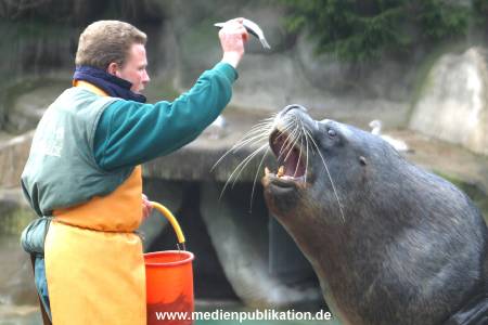 hagenbeck 03 04 015