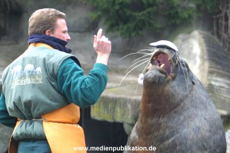 hagenbeck 03 04 016