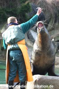 hagenbeck 03 04 017