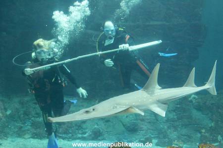Hagenbeck Inventur 29122014 014
