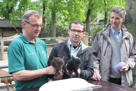 Hagenbeck Inventur 16052013 071