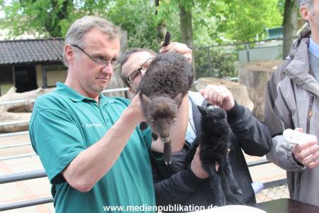 Hagenbeck Inventur 16052013 072