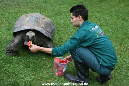 Hagenbeck 06082010 0012
