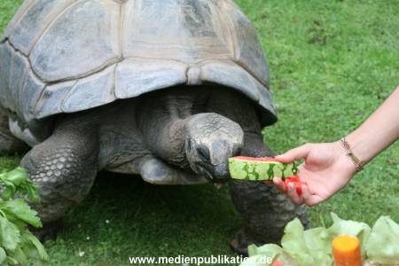 Hagenbeck 06082010 0013
