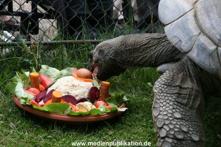 Hagenbeck 06082010 0015