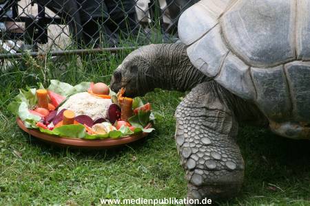 Hagenbeck 06082010 0017