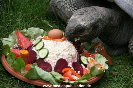 Hagenbeck 06082010 0020