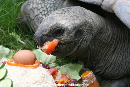 Hagenbeck 06082010 0023