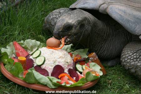 Hagenbeck 06082010 0026