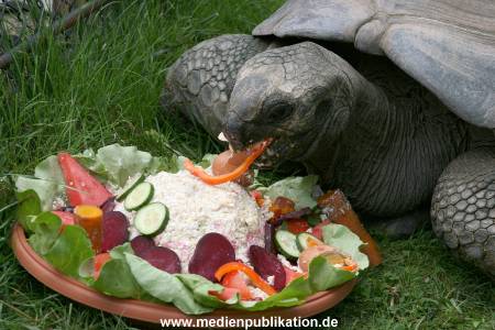 Hagenbeck 06082010 0029