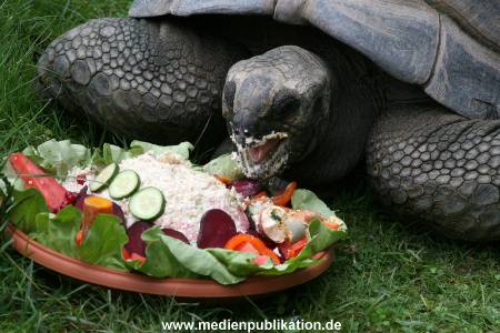 Hagenbeck 06082010 0034