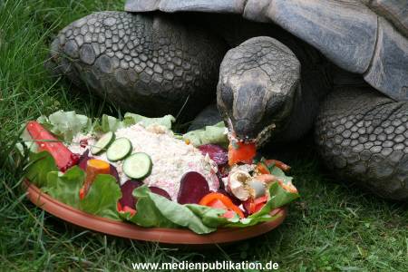 Hagenbeck 06082010 0035