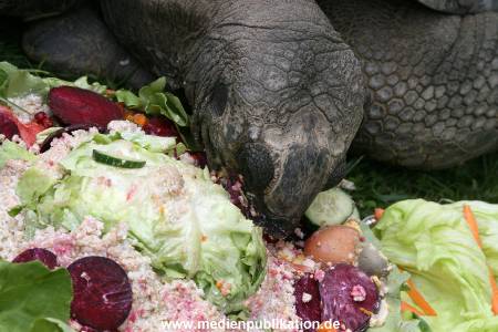 Hagenbeck 06082010 0043