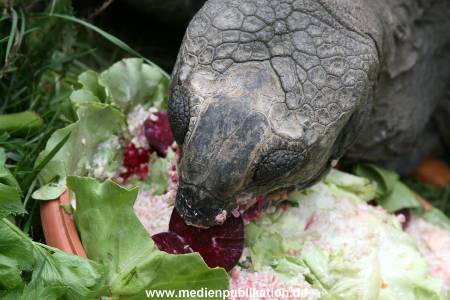 Hagenbeck 06082010 0045