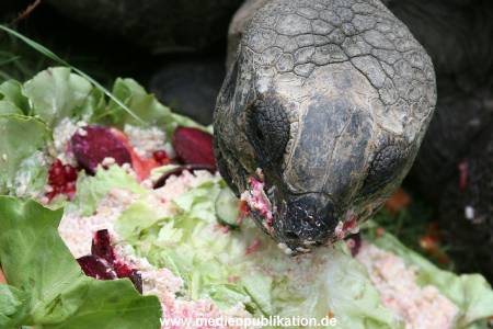 Hagenbeck 06082010 0046