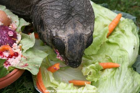 Hagenbeck 06082010 0047