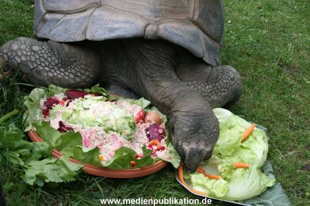 Hagenbeck 06082010 0048
