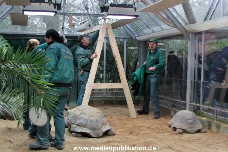 Hagenbeck 04032011 001
