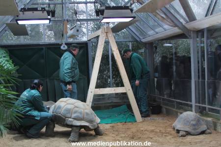 Hagenbeck 04032011 002
