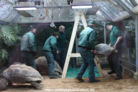 Hagenbeck 04032011 005