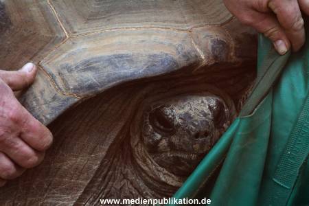 Hagenbeck 04032011 006