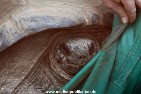 Hagenbeck 04032011 007