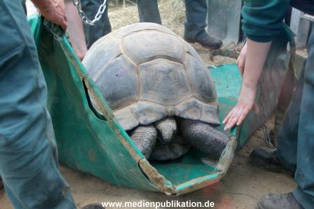Hagenbeck 04032011 010